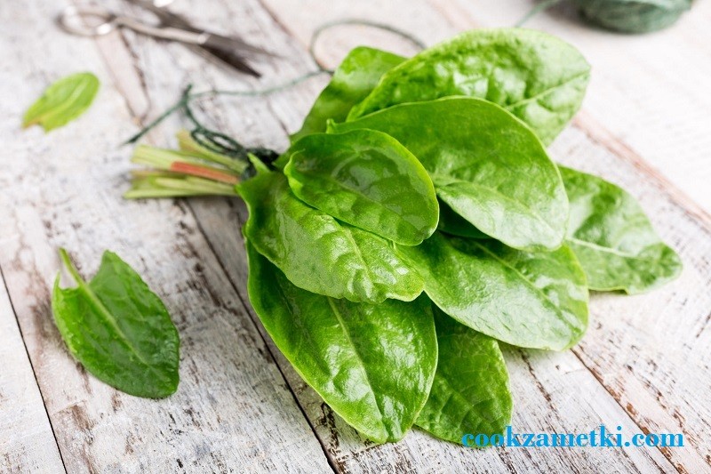 Fresh organic sorrel leaves on old white wooden background. Healthy food concept.